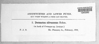 Image Associated With the Occurence